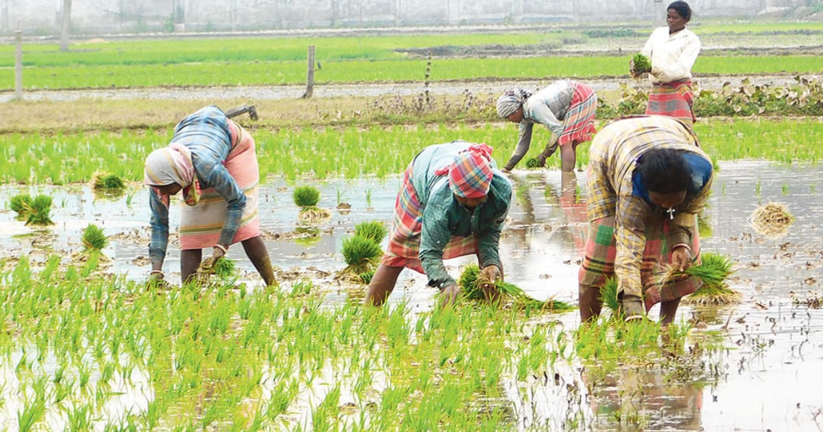 farmers-pension-will-be-double-in-next-budget